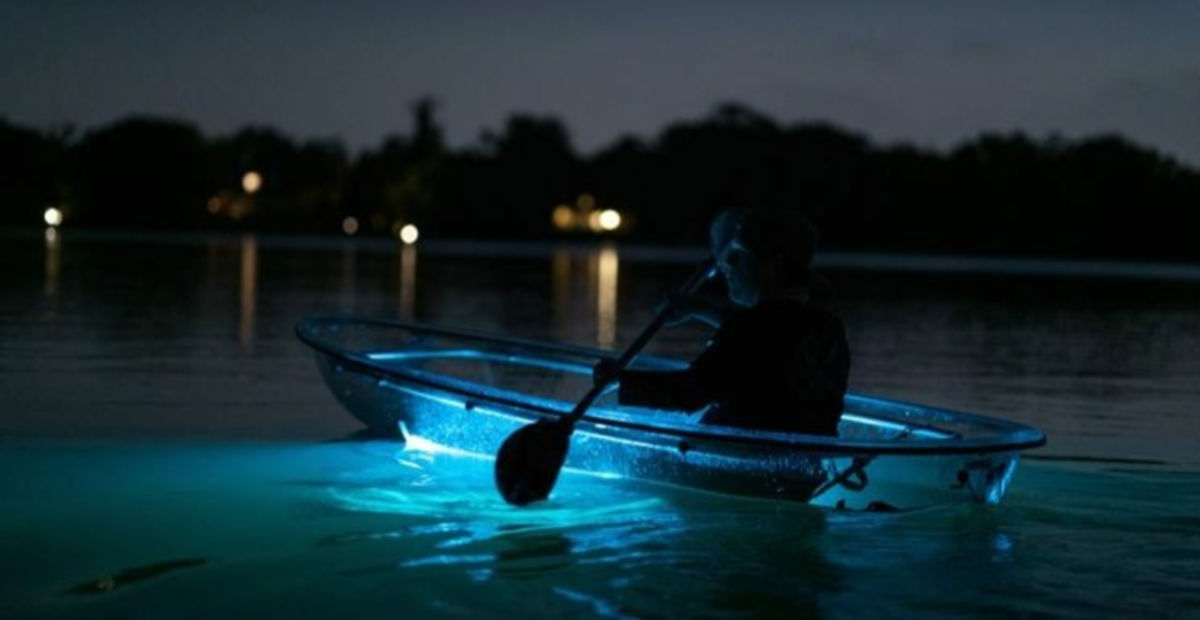 A man paddling at Mosquito Bioluminescent Bay