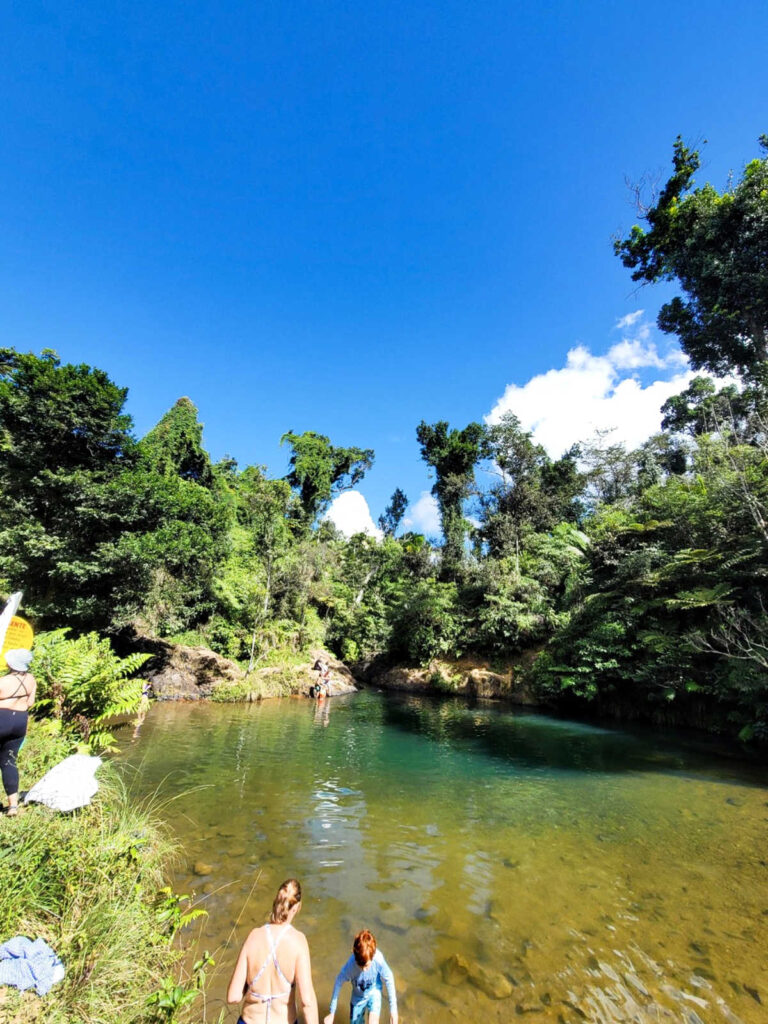 A mother and son enjoying the water near the rainforest on a sunny day