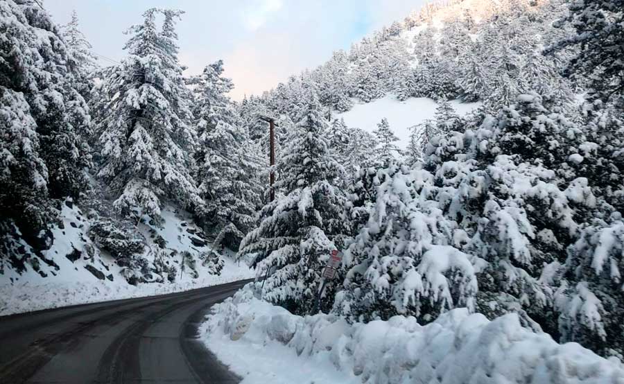 View of Mount Baldy during winter season