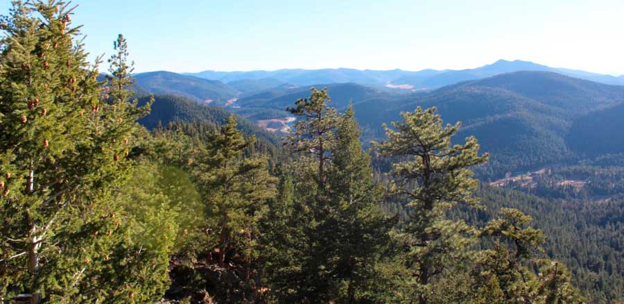 Overlooking view from the Mount Falcon Castle Trail Loop