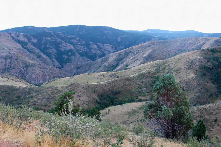 Scenic view at the Mount Galbraith