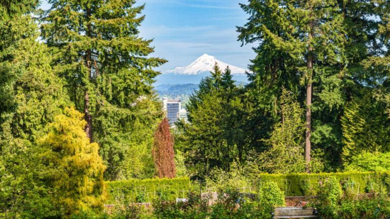 View of the Mount Hood via the Pittock Mansion viewpoint