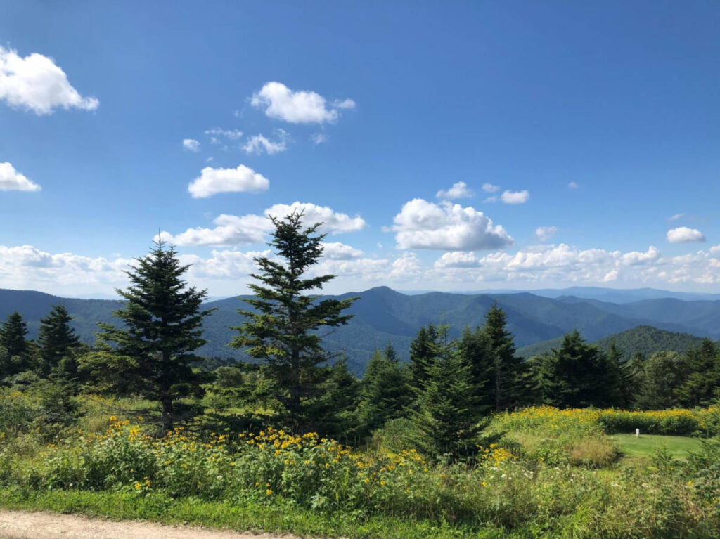 Scenic view at the Mount Mitchell State Park