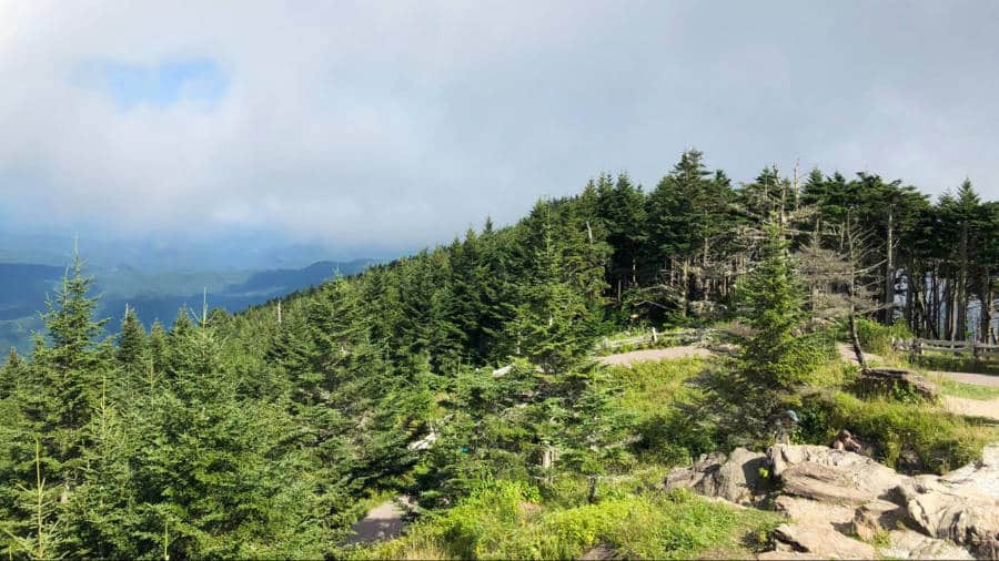 Overlooking view from Mount Mitchell