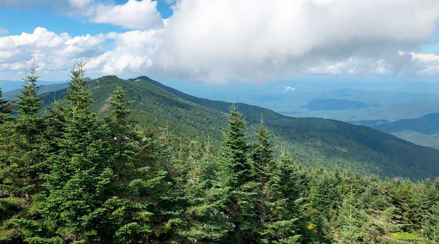 Overlooking view from the observation deck in Mount Mitchell State Park