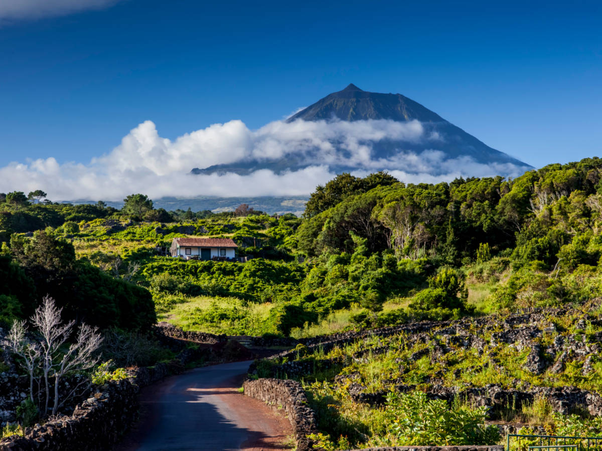 View of Mount Pico seen from below
