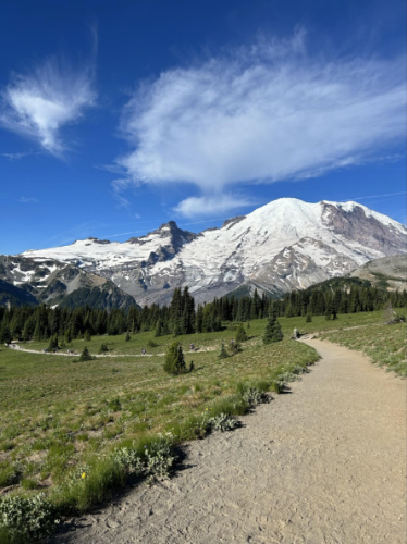 Scenic view of the Mount Rainier from a distance