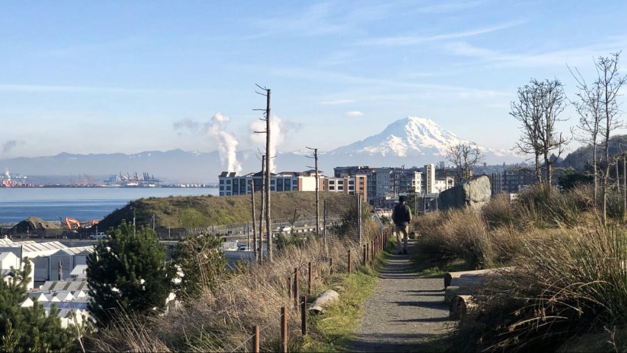 View of Mount Rainier from Point Defiance Park on a sunny day