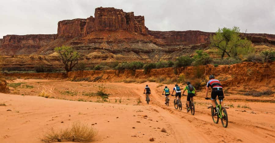 Five cyclists on the White Rim Trail in Canyonlands National Park
