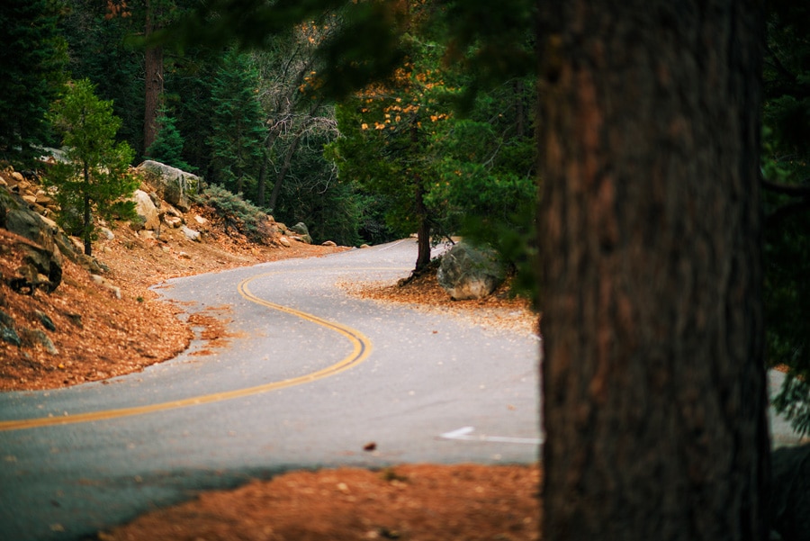 Scenic view of the mountain road in Idyllwild