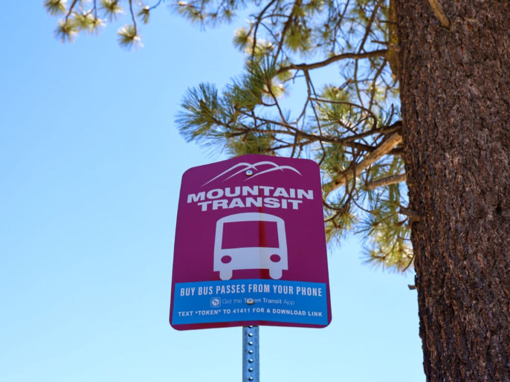 A low perspective of the Mountain Transit Bus signage near the trees