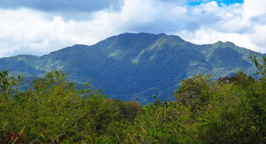 View of the mountains of Jayuya from afar
