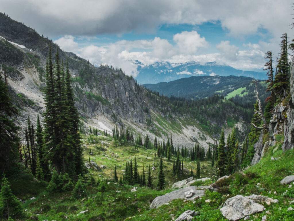 View of a mountain valley with trees and rocks at Mount Revelstoke National Park