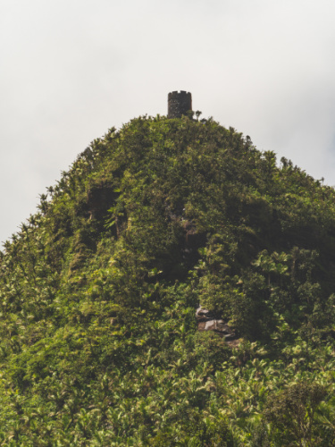 The Mt. Britton Tower view from afar
