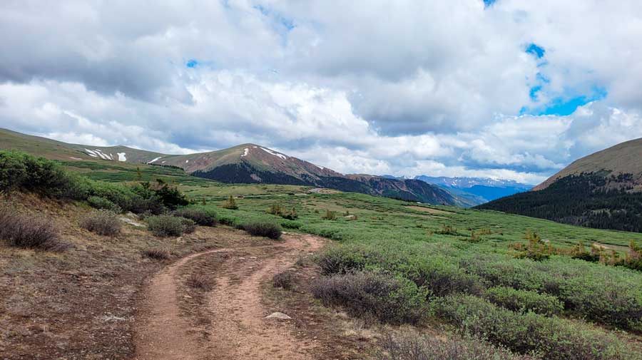 A path on the Mt. Evans wilderness