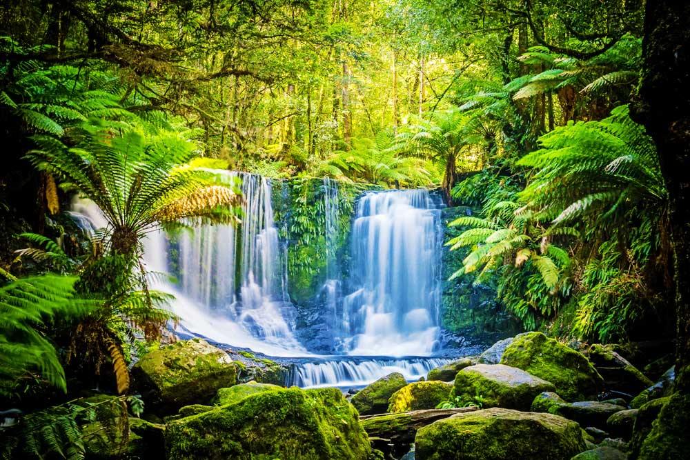 The horseshoe falls in Mt. Field National Park