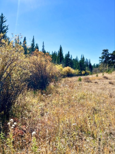 View of the beautiful fall foliage around the Mud Lake Open Space