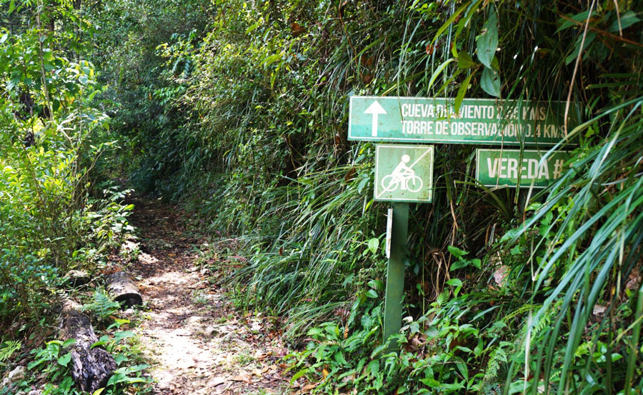 View of the signs in the muddy trail