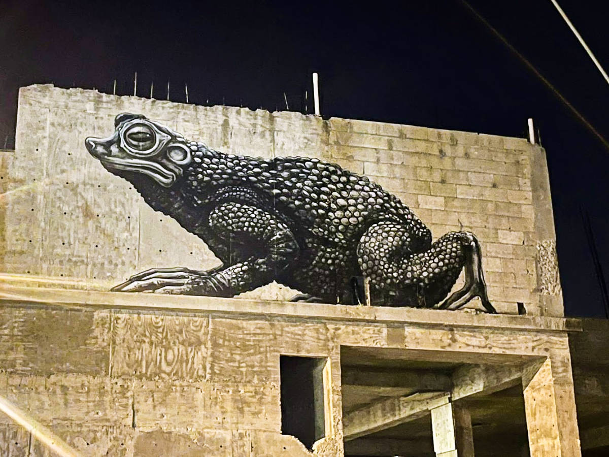 A mural of a frog at Guánica Town Center