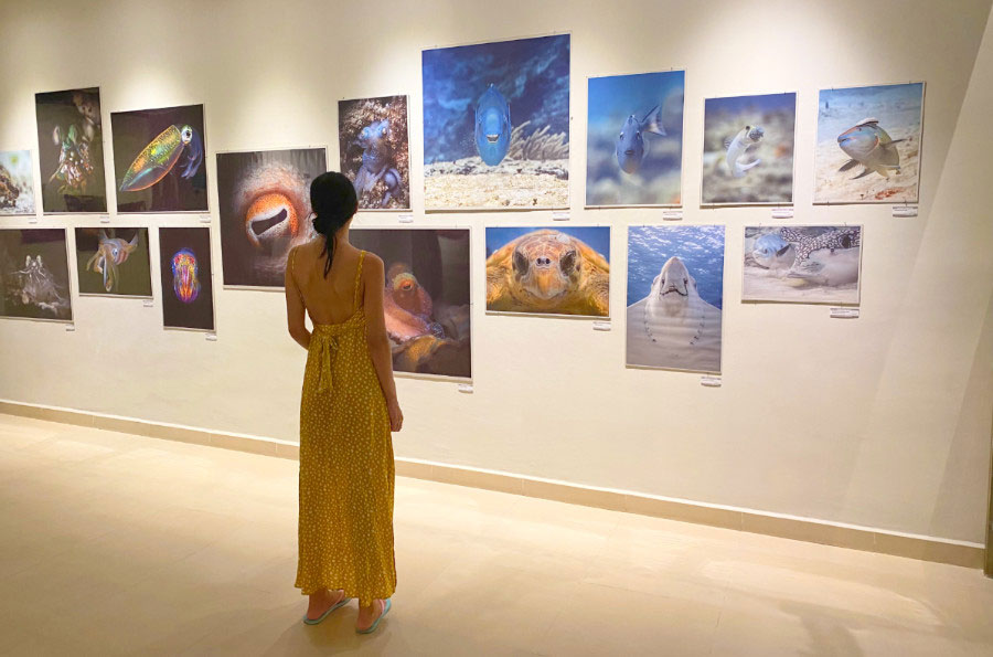 View of Clara admiring the underwater marine life exhibit in Museo de Cozumel