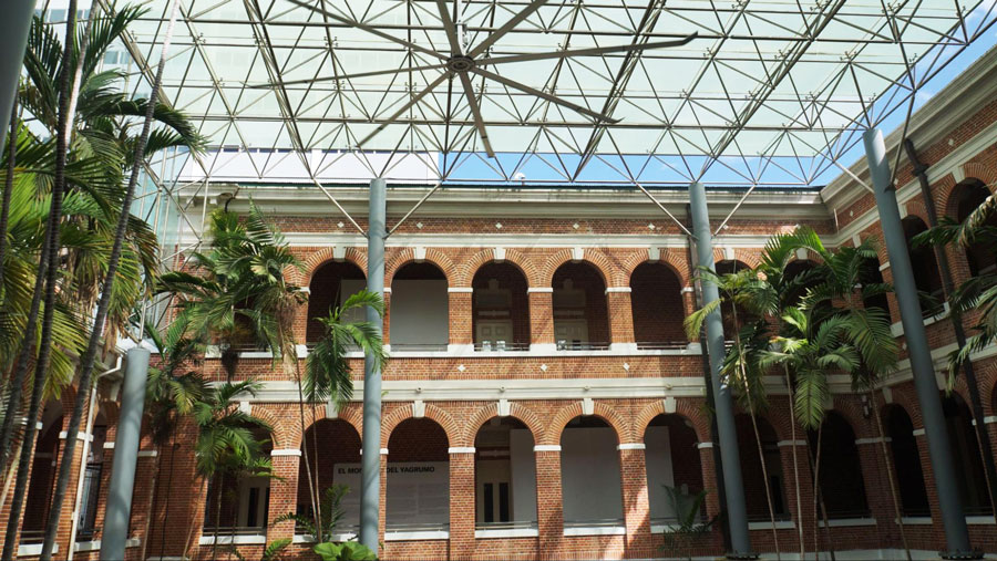 View of the Museum of Contemporary Art and some palm trees on it