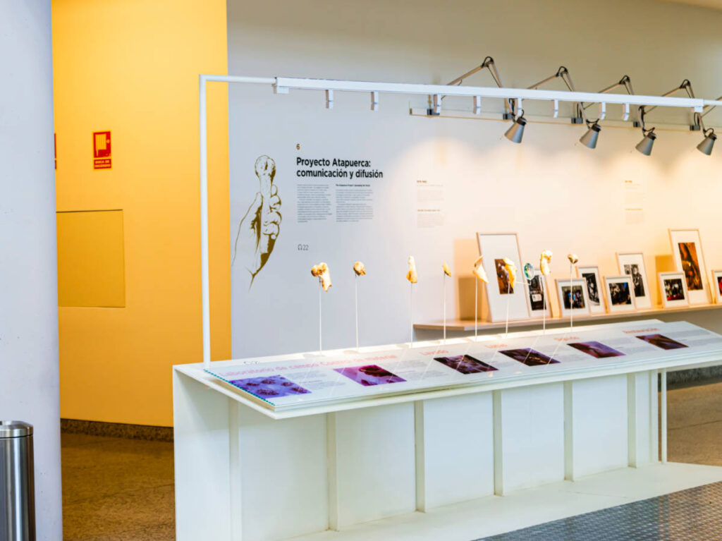 View of the exhibit inside the Museum of Human Evolution