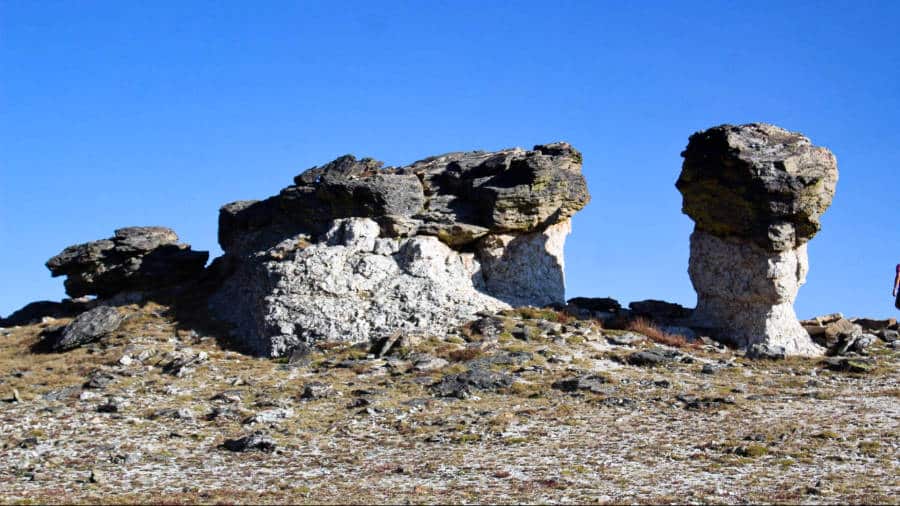 View of the mushroom mocks in the trail