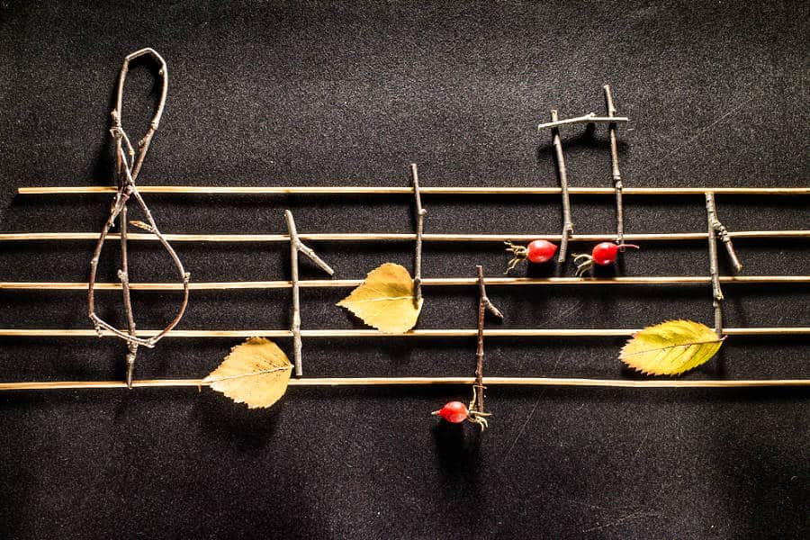 Musical notes made with wood and leaves