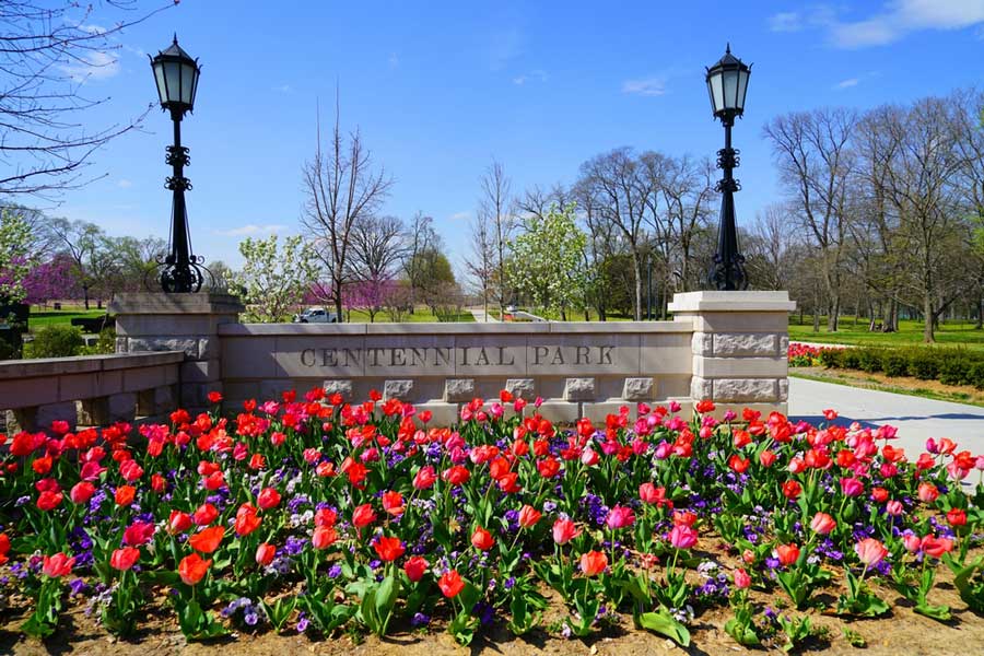 Colorful flowers at the Musicians Corner