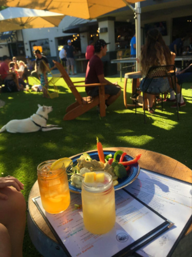 A table with a variety of drinks and a plate of food at My Yard Live Beer Co