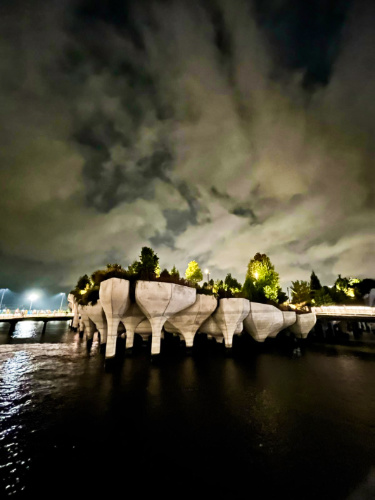 View of the Little Island over the water at night