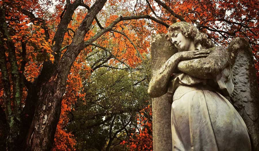 An angel statue on a cemetery