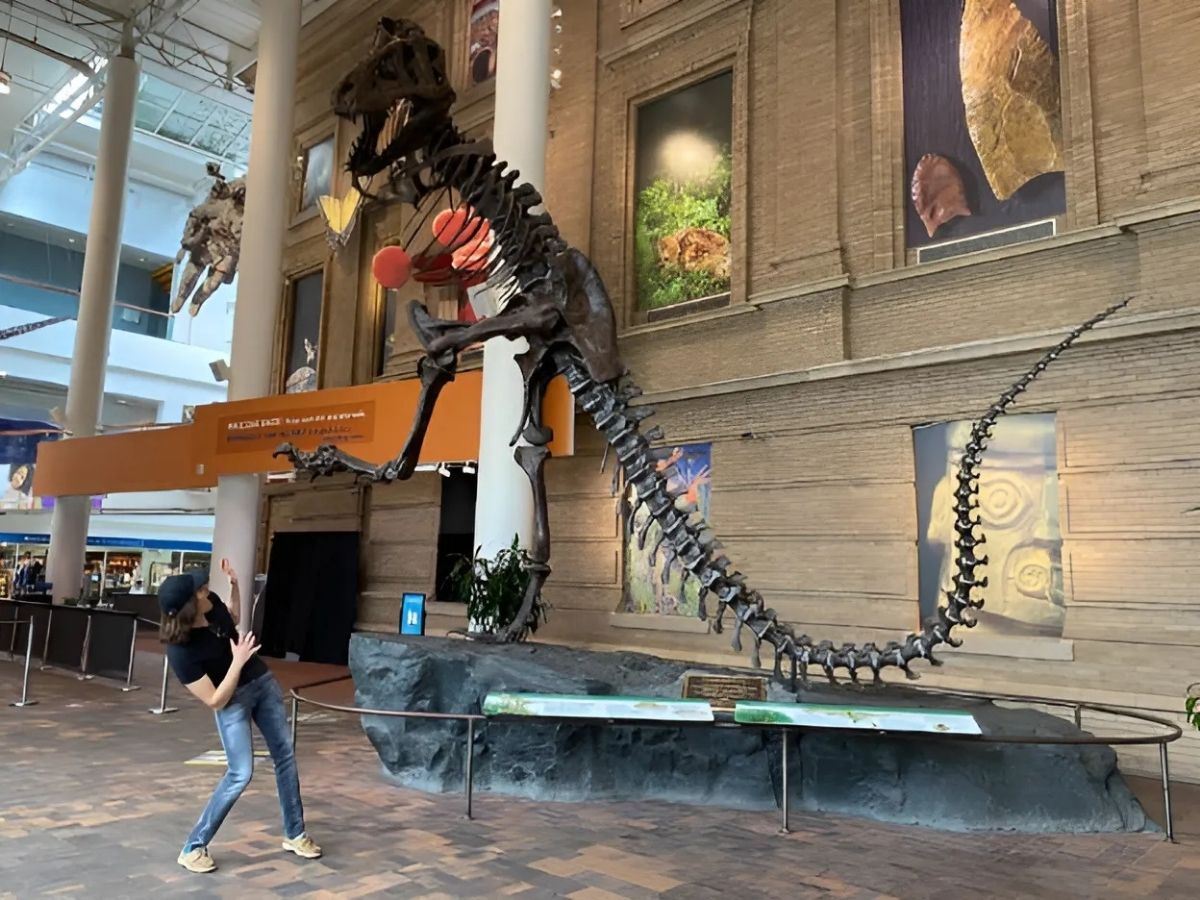 Travel Lemming founder Nate, looking at a dinosaur skeleton at the Denver Museum of Nature and Science