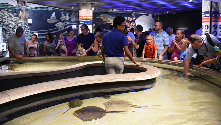 People enjoying their day inside the National Aquarium