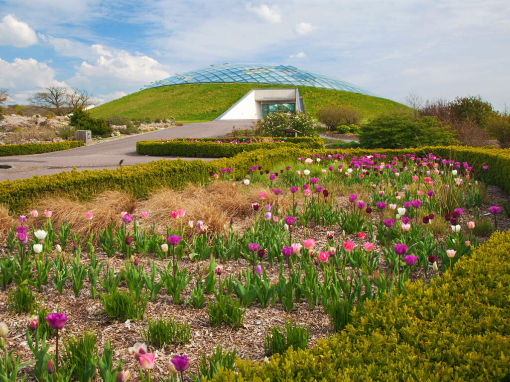 Colorful flowers at the National Botanic Garden of Wales