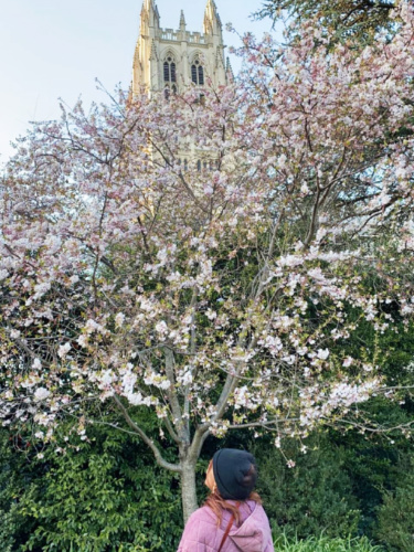 The author Alexandria Taylor looking at the cherry blossom tree