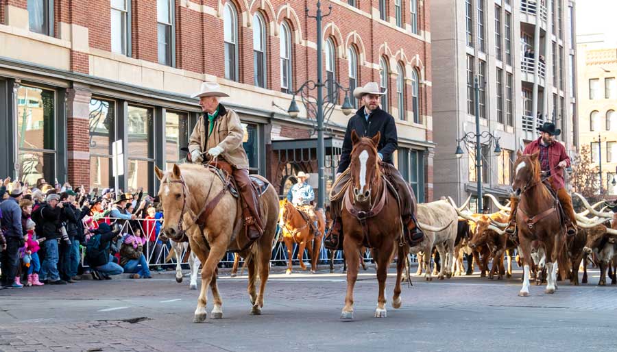 A parade during National Western Stock Show