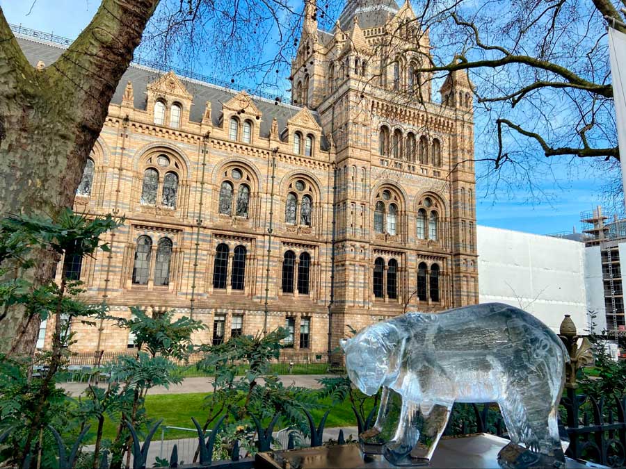 A polar bear ice sculpture in front of the Natural History Museum in London