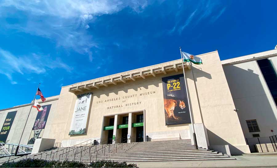 The Natural History Museum of Los Angeles County from the outside and the clear blue sky over it