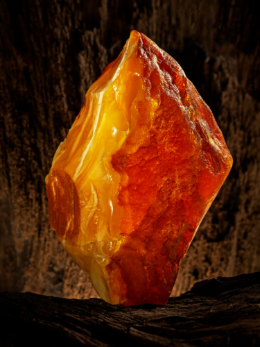 Closeup look of the natural raw Amber stone