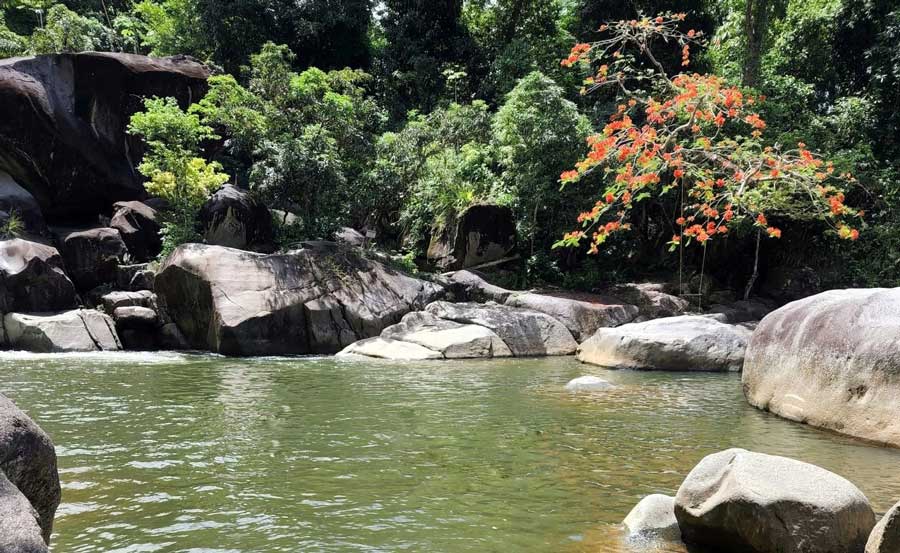 View from the natural swimming pool in El Yunque Rainforest