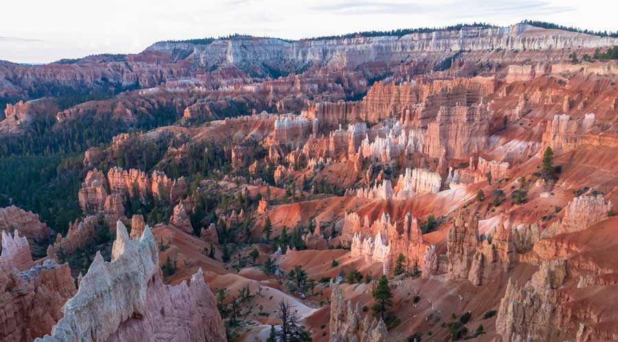 Overlooking view at the Navajo Loop during sunrise
