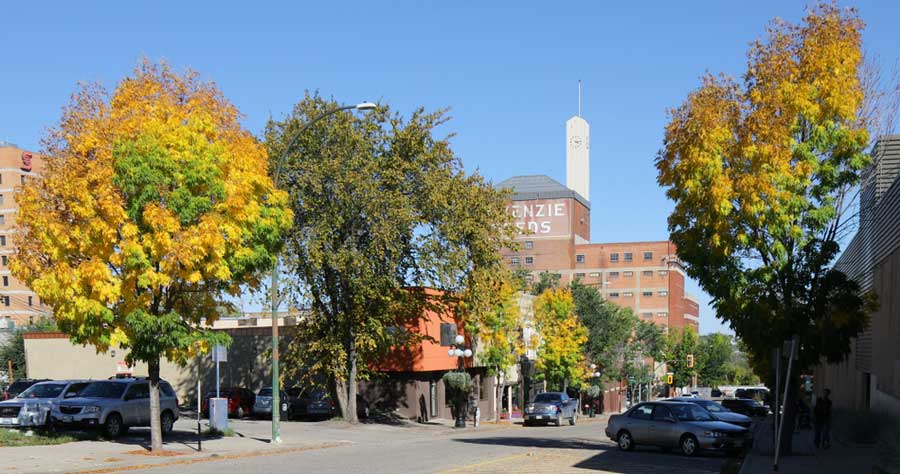 View of a neighborhood in Brandon