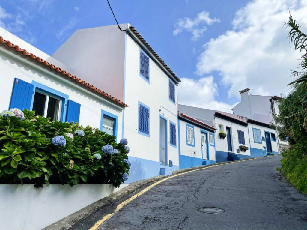 View while climbing a hills in Sao Miguel, Azores