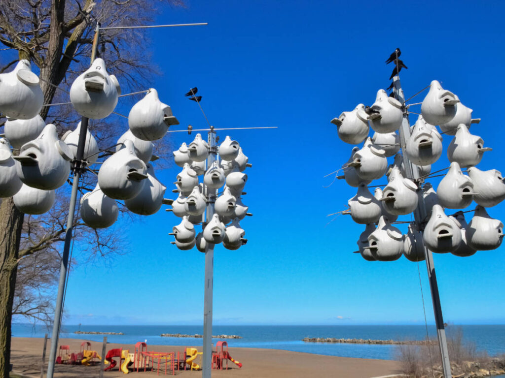 Clear blue sky over the bird nests in Lakeview Park