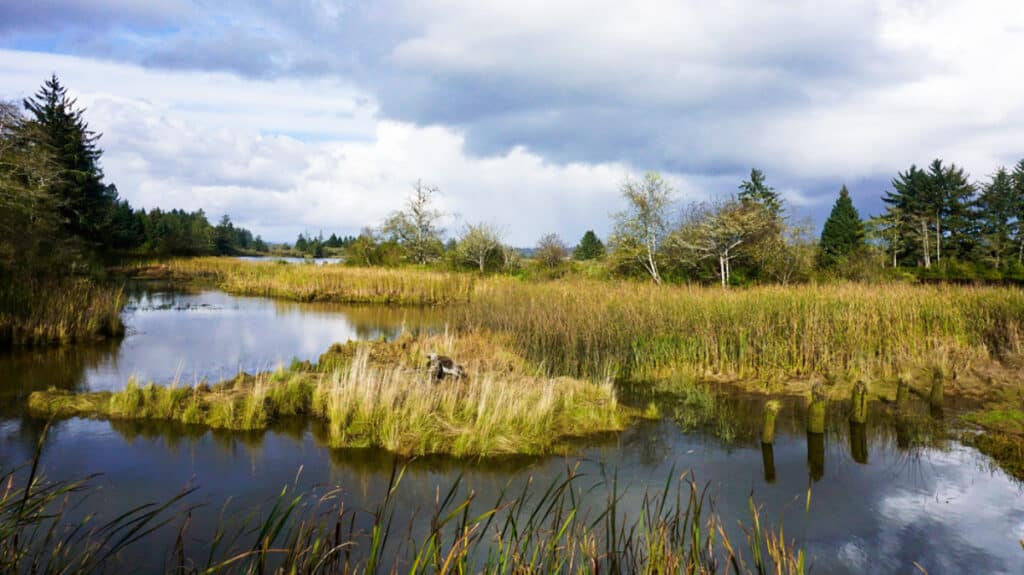 View of the Netul River landing in Fort Clatsop