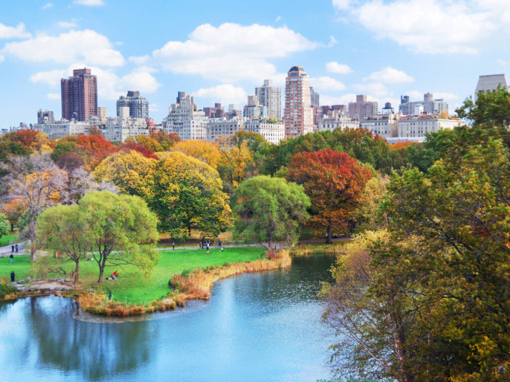 View of a park during fall season in New York City