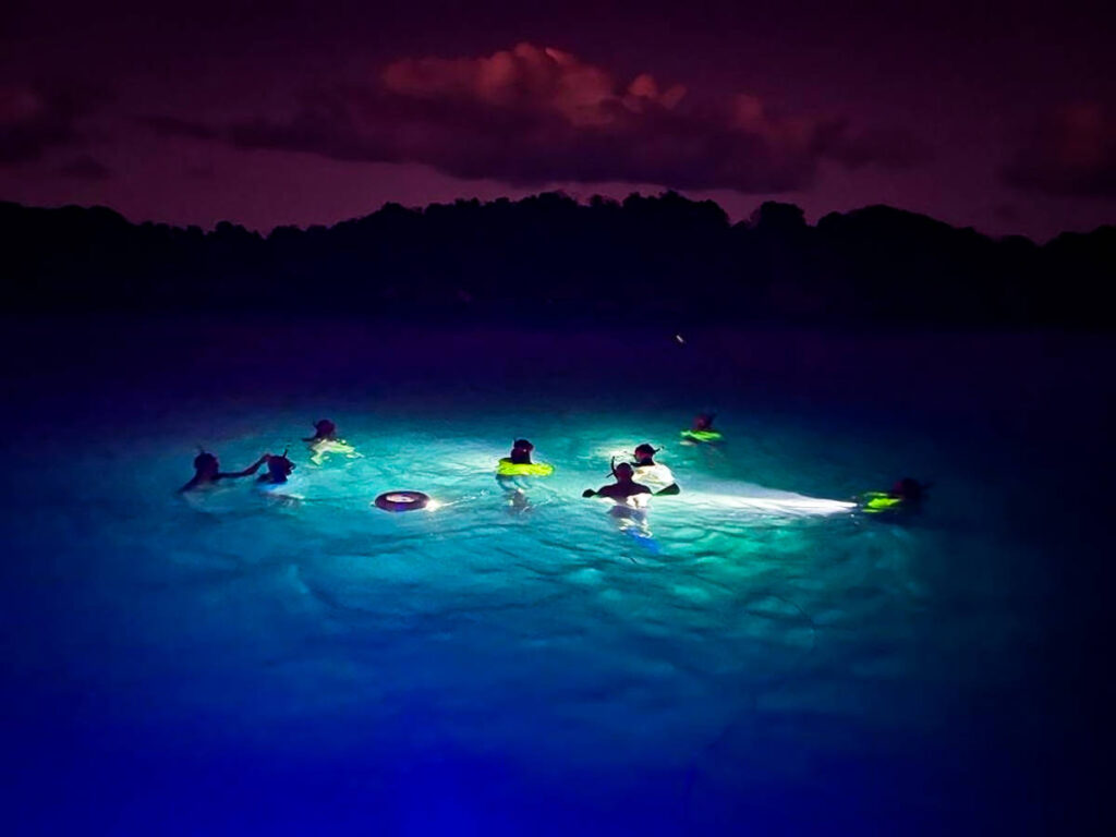 People swimming at night