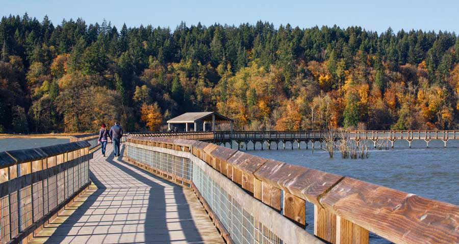 People walking at the boardwalk in Nisqually National Wildlife Refuge