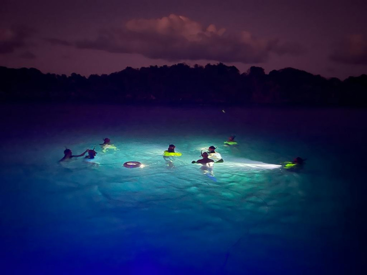 View of the people snorkeling with a minimal light at night